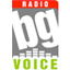 Онлайн Радио BG Voice - Хит-микс стрийм от Чикаго