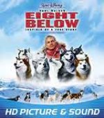 Онлайн филми - Eight Below / Осем герои (2006) BG AUDIO