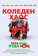 Онлайн филми - Love the Coopers / Тиха нощ, луда нощ (2015) BG AUDIO