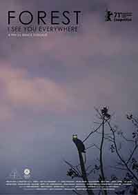Rengeteg - Mindenhol latlak / Безкрайност от твоя образ / Forest: I See You Everywhere (2021)