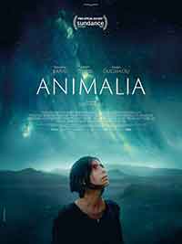 Animalia / Анималия (2023)