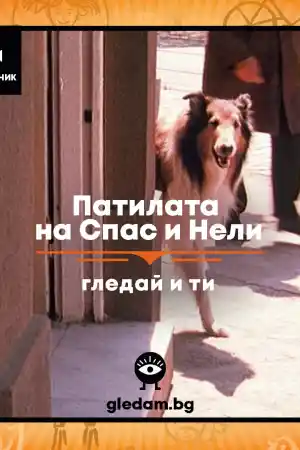 Патилата на Спас и Нели